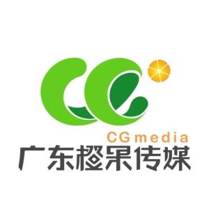 广东正联传播有限公司