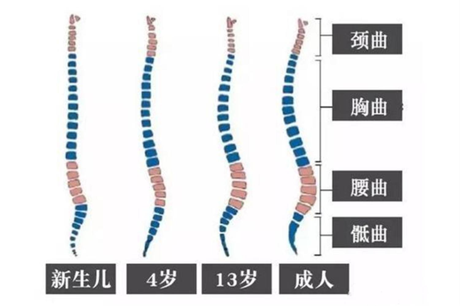 六个月宝宝能坐多久