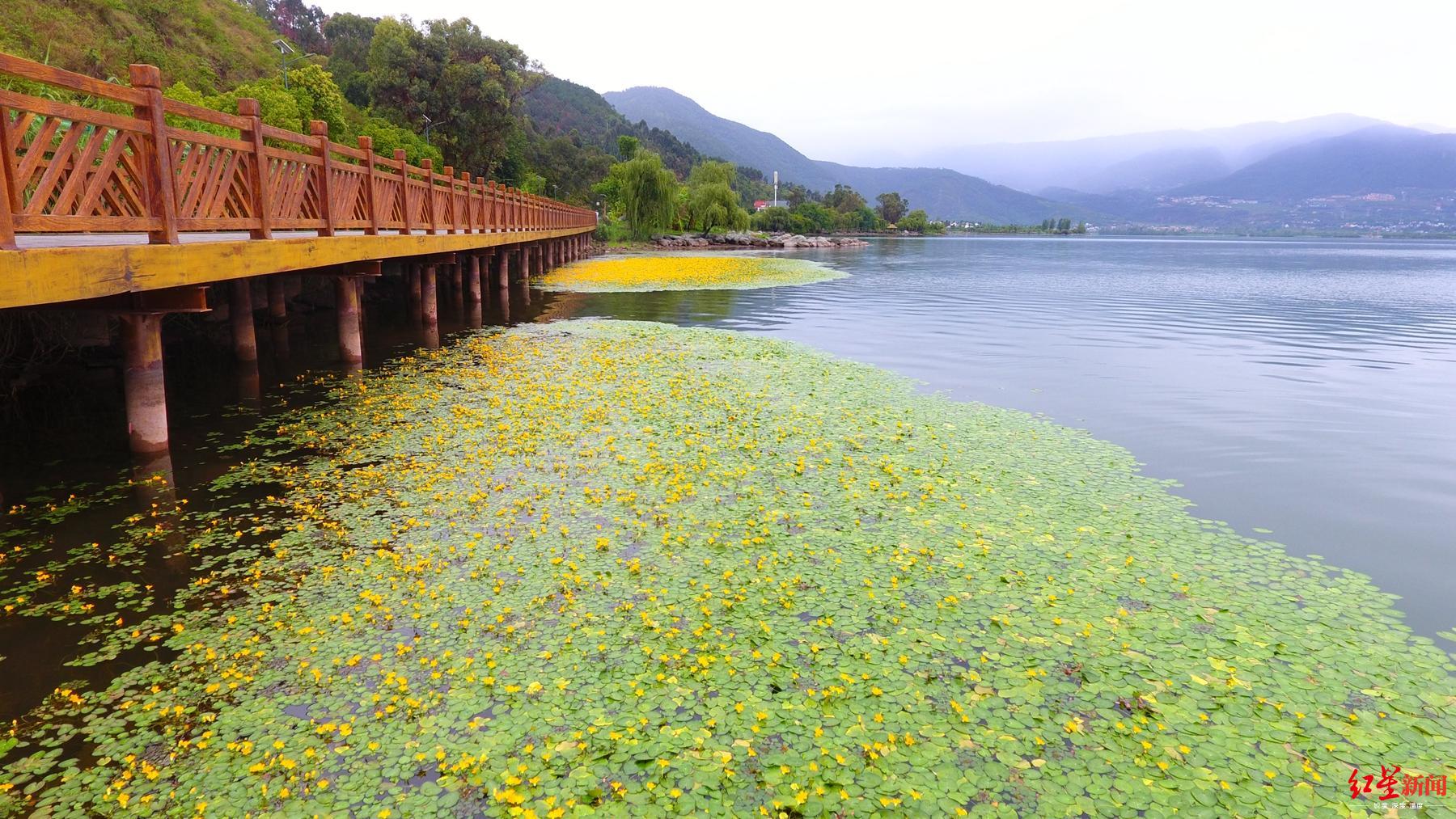 西昌邛海房产